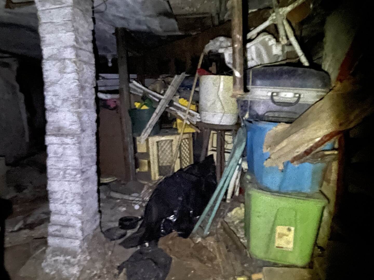 6530 South Carpenter Street Chicago, IL 60621 - Photo 14 of 15