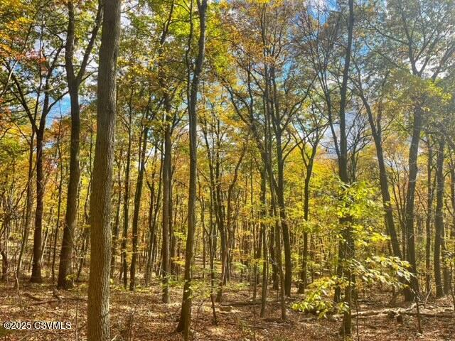 40 Wood Ridge Lane Klingerstown, PA 17941 - Photo 6 of 12