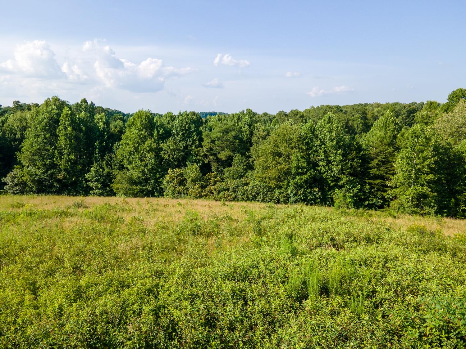 398 Rooks Branch Road Keavy, KY 40737 - Photo 8 of 35 53_DJI_0254