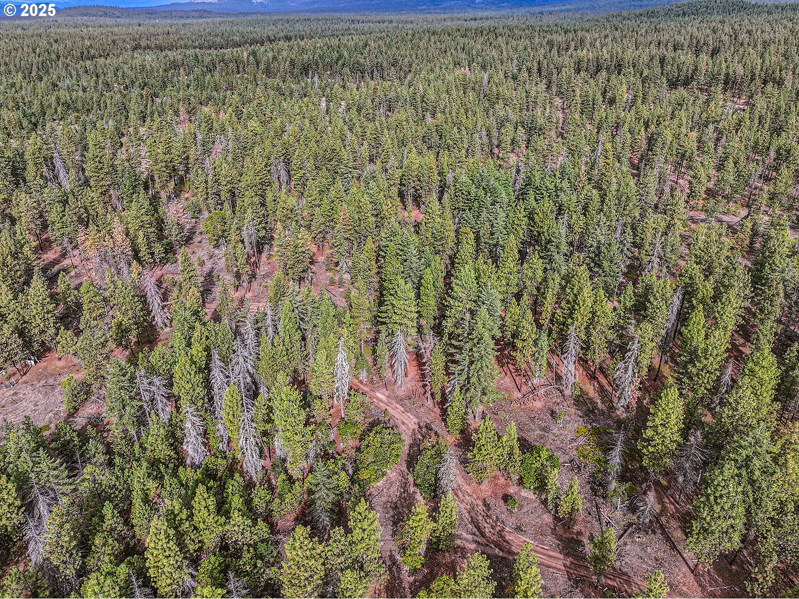 68 Matola Road Goldendale, WA 98620 - Photo 1 of 36 a view of a yard with a tree