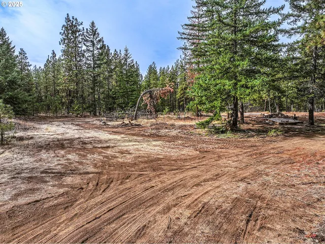 a view of a yard with trees