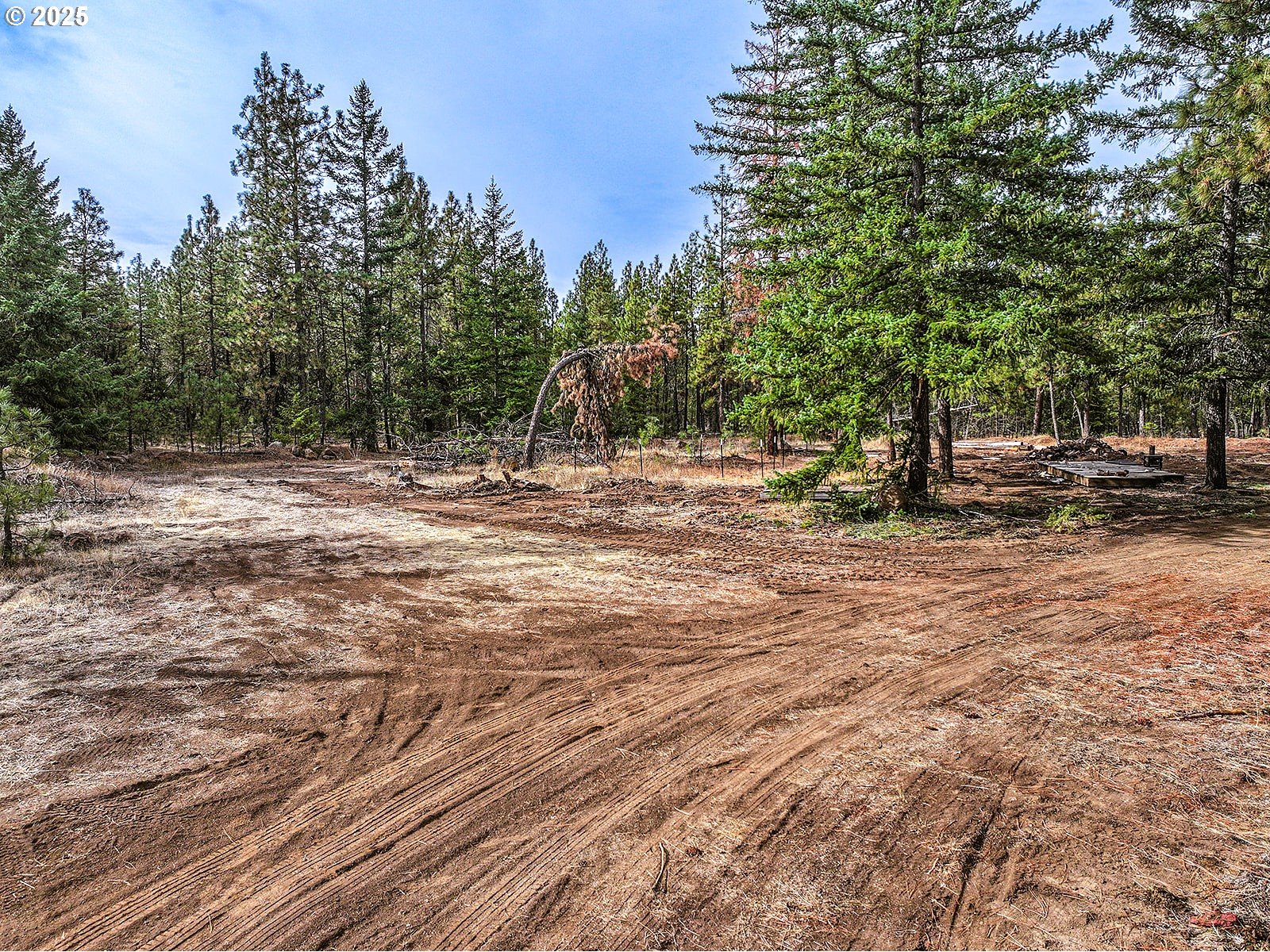 68 Matola Road Goldendale, WA 98620 - Photo 13 of 36 a view of a yard with trees