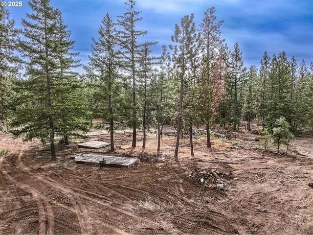 a view of a backyard with trees