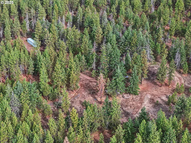an aerial view of residential house with outdoor space and trees all around