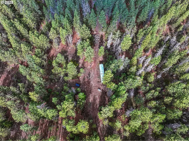 a view of a yard with a tree