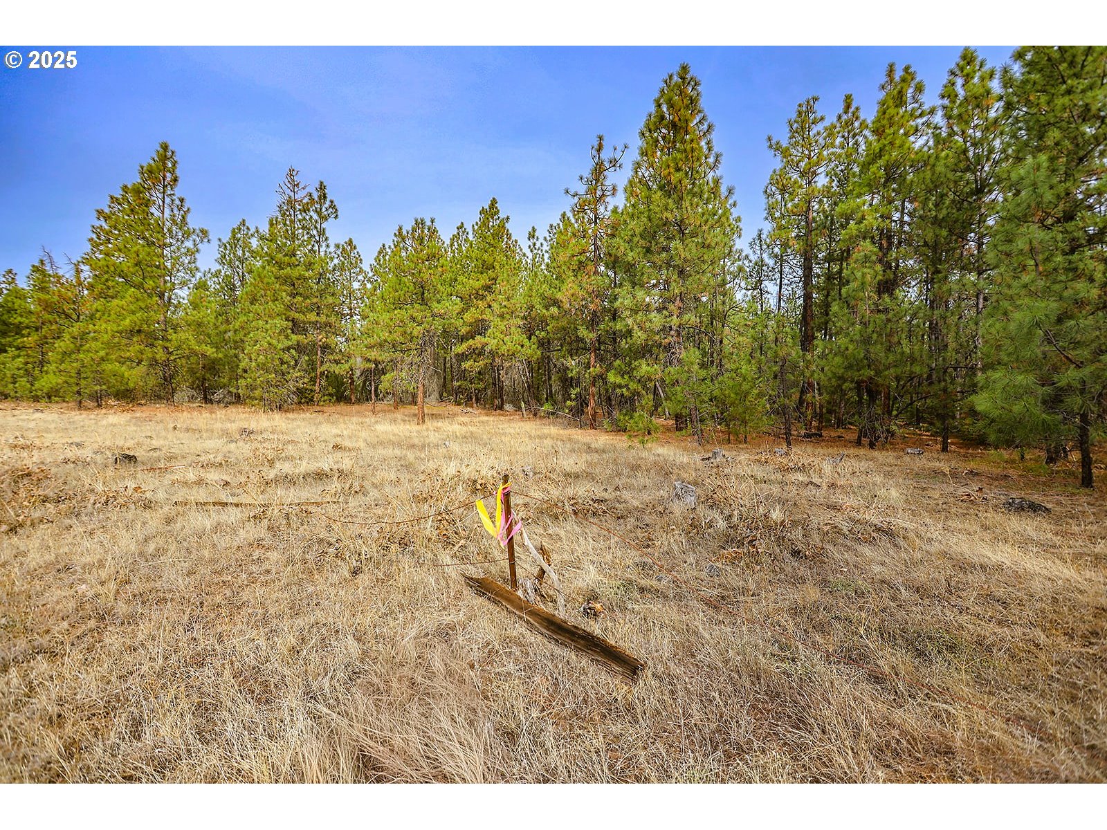 68 Matola Road Goldendale, WA 98620 - Photo 21 of 36 a view of a yard with a tree