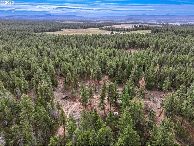 a view of a room with an ocean