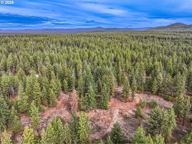 a view of a yard with an outdoor space