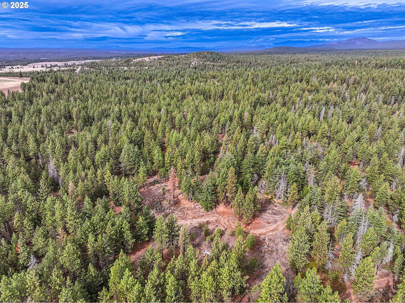 68 Matola Road Goldendale, WA 98620 - Photo 25 of 36 a view of a yard with an outdoor space