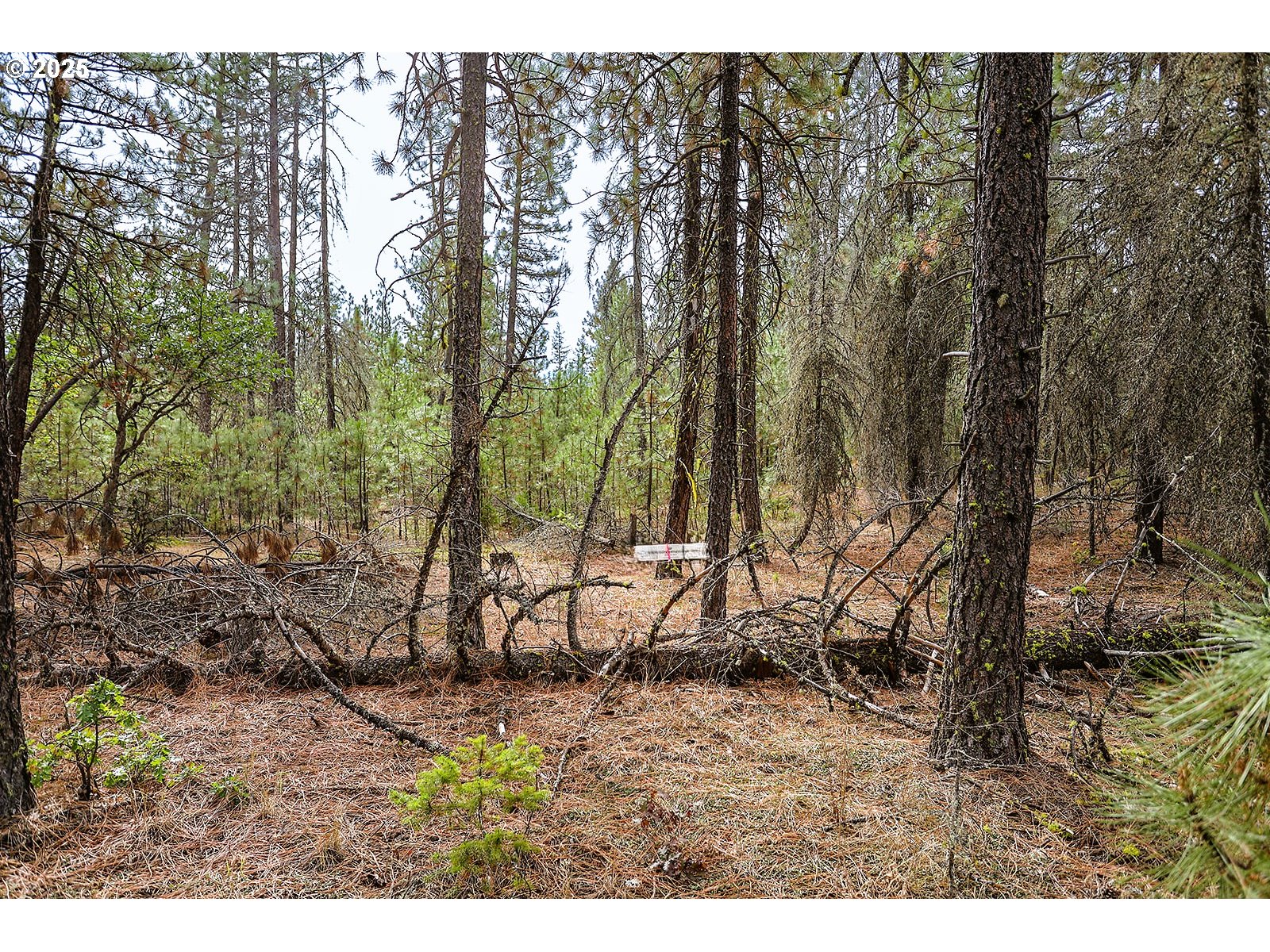 68 Matola Road Goldendale, WA 98620 - Photo 27 of 36 a view of outdoor space with lots of trees