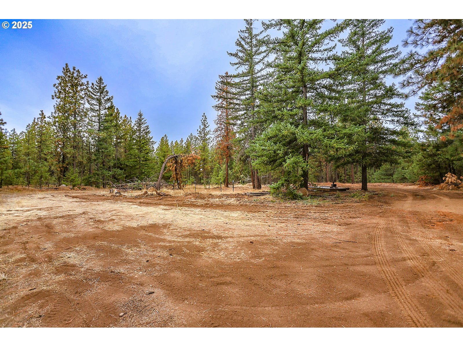 68 Matola Road Goldendale, WA 98620 - Photo 29 of 36 a view of outdoor space with trees