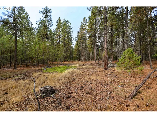 a view of outdoor space with garden