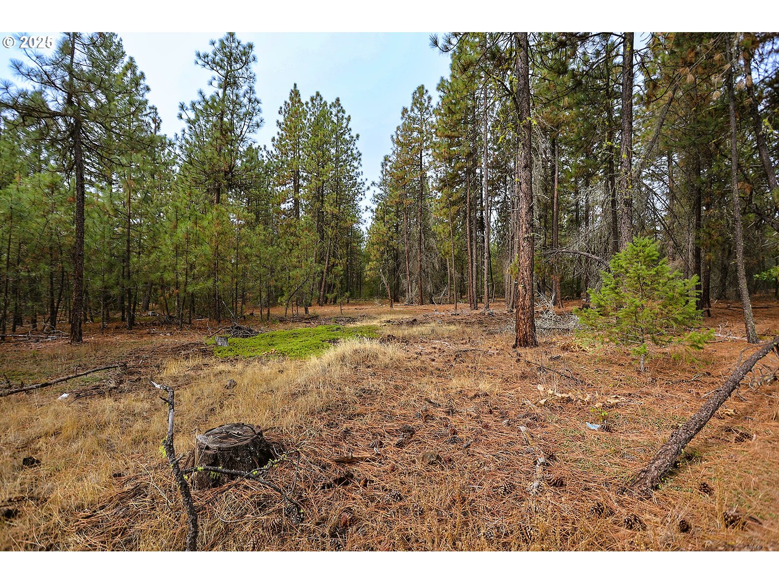 68 Matola Road Goldendale, WA 98620 - Photo 30 of 36 a backyard of a house with lots of green space