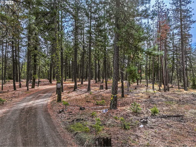 a backyard of a house with trees