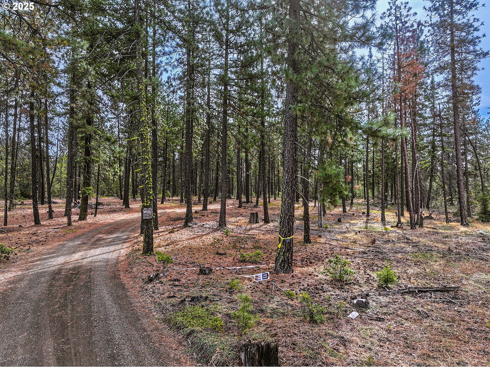 68 Matola Road Goldendale, WA 98620 - Photo 3 of 36 a backyard of a house with trees