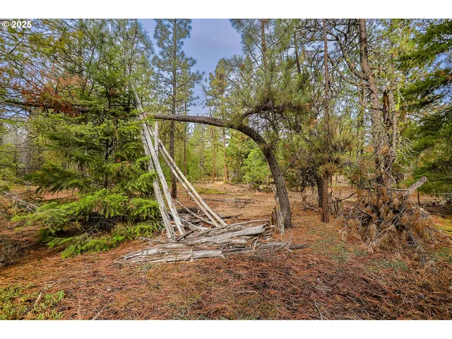 a view of outdoor space with trees