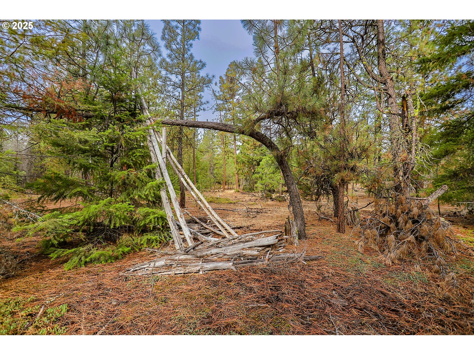 68 Matola Road Goldendale, WA 98620 - Photo 32 of 36 a view of outdoor space with garden
