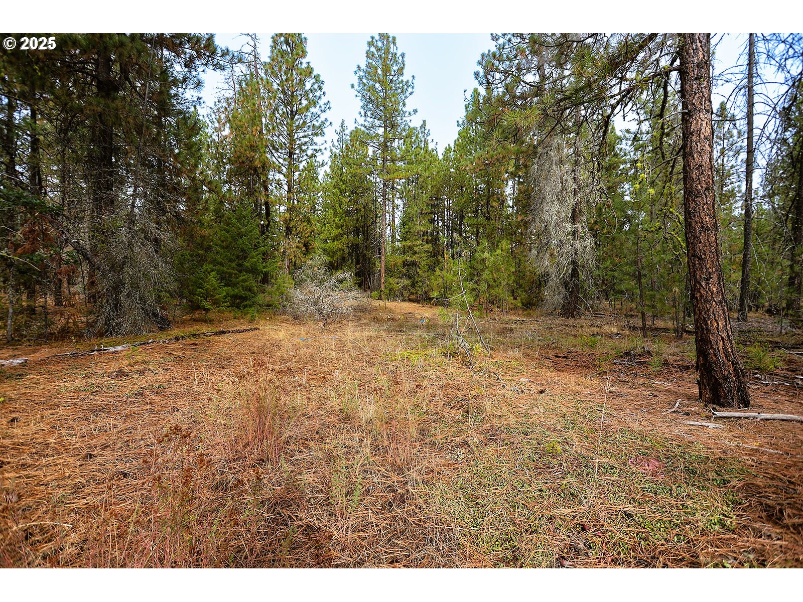 68 Matola Road Goldendale, WA 98620 - Photo 34 of 36 a view of outdoor space with trees