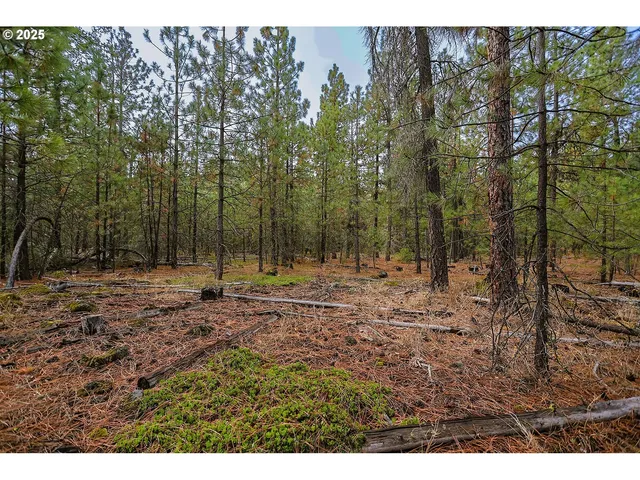 $125,000 | 68 Matola Road, Goldendale, WA 98620