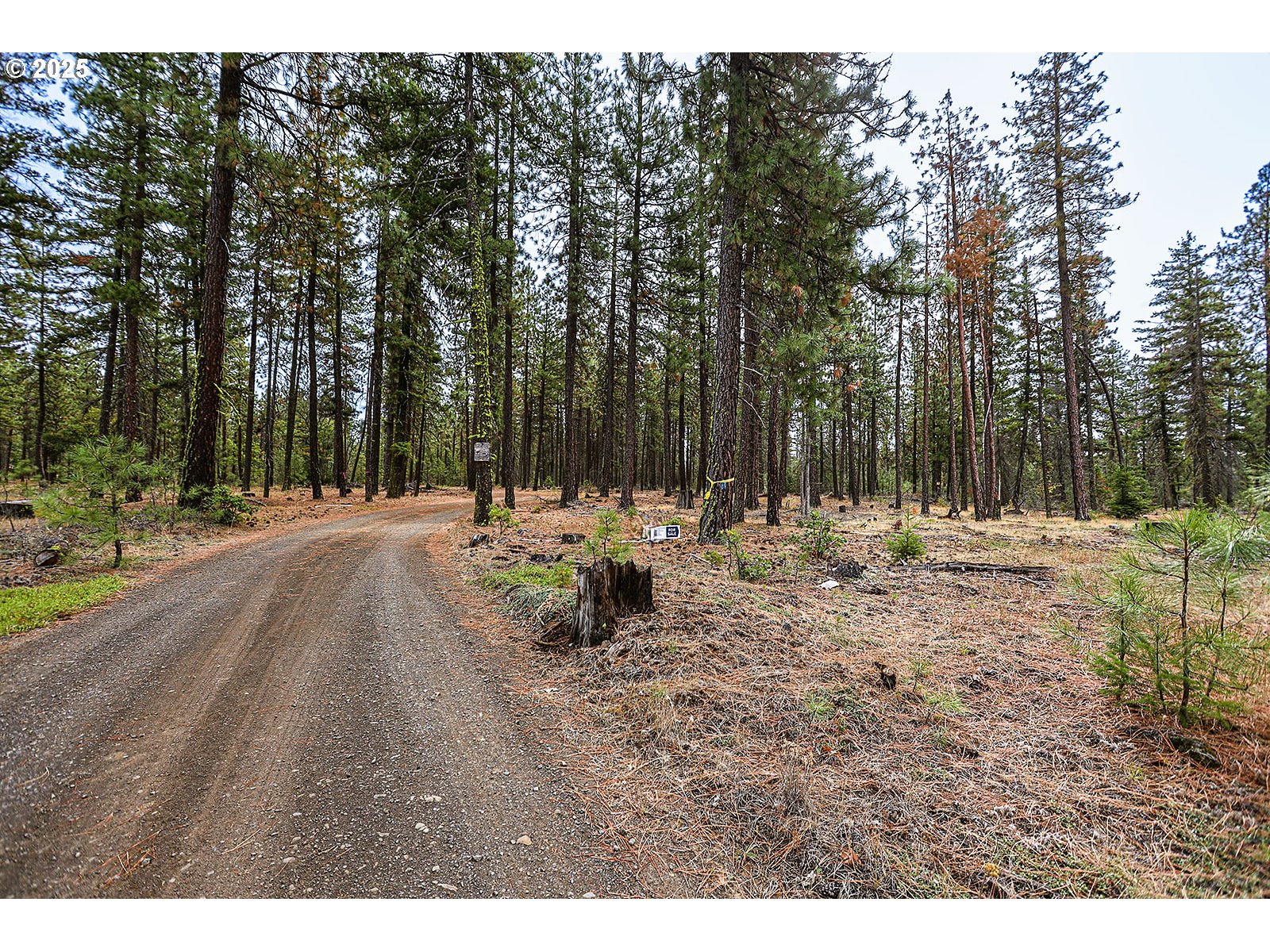 68 Matola Road Goldendale, WA 98620 - Photo 4 of 36 a view of a park with trees and a house