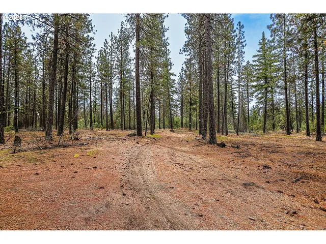 a view of outdoor space with trees