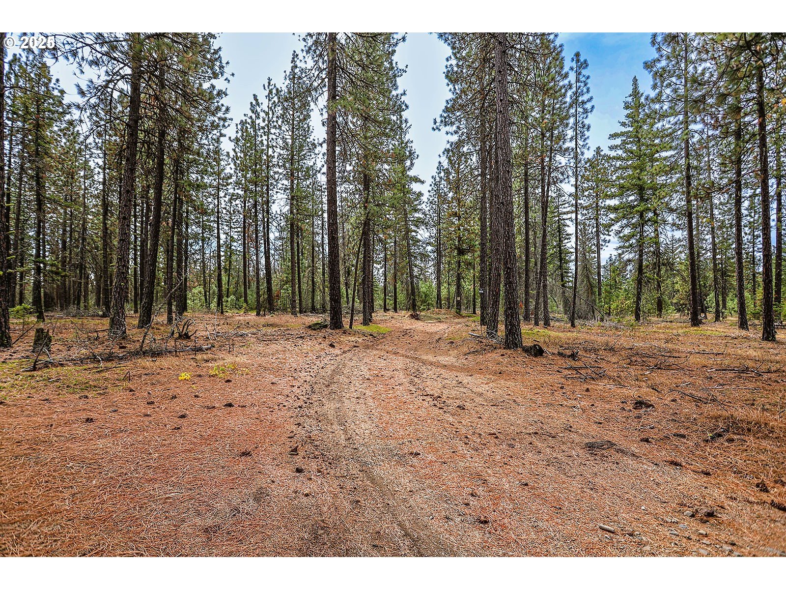 68 Matola Road Goldendale, WA 98620 - Photo 5 of 36 a view of outdoor space with trees