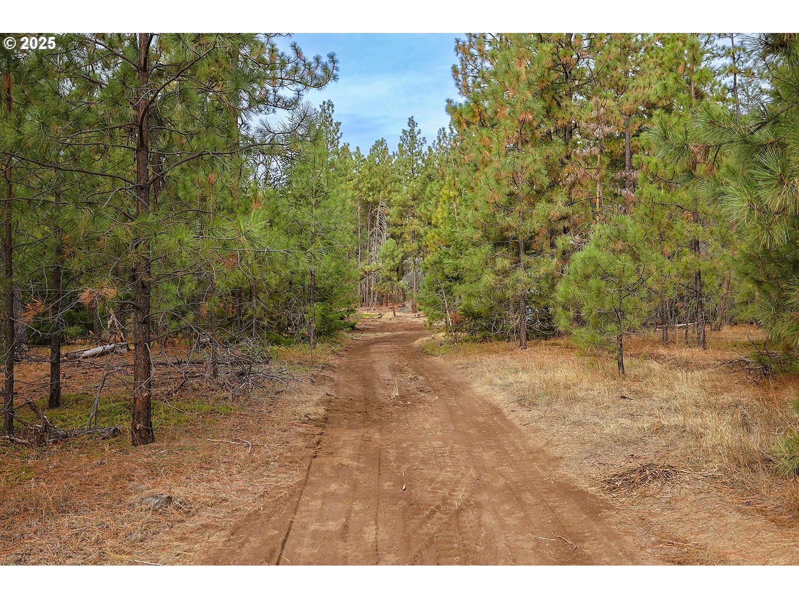 68 Matola Road Goldendale, WA 98620 - Photo 6 of 36 a view of outdoor space and yard