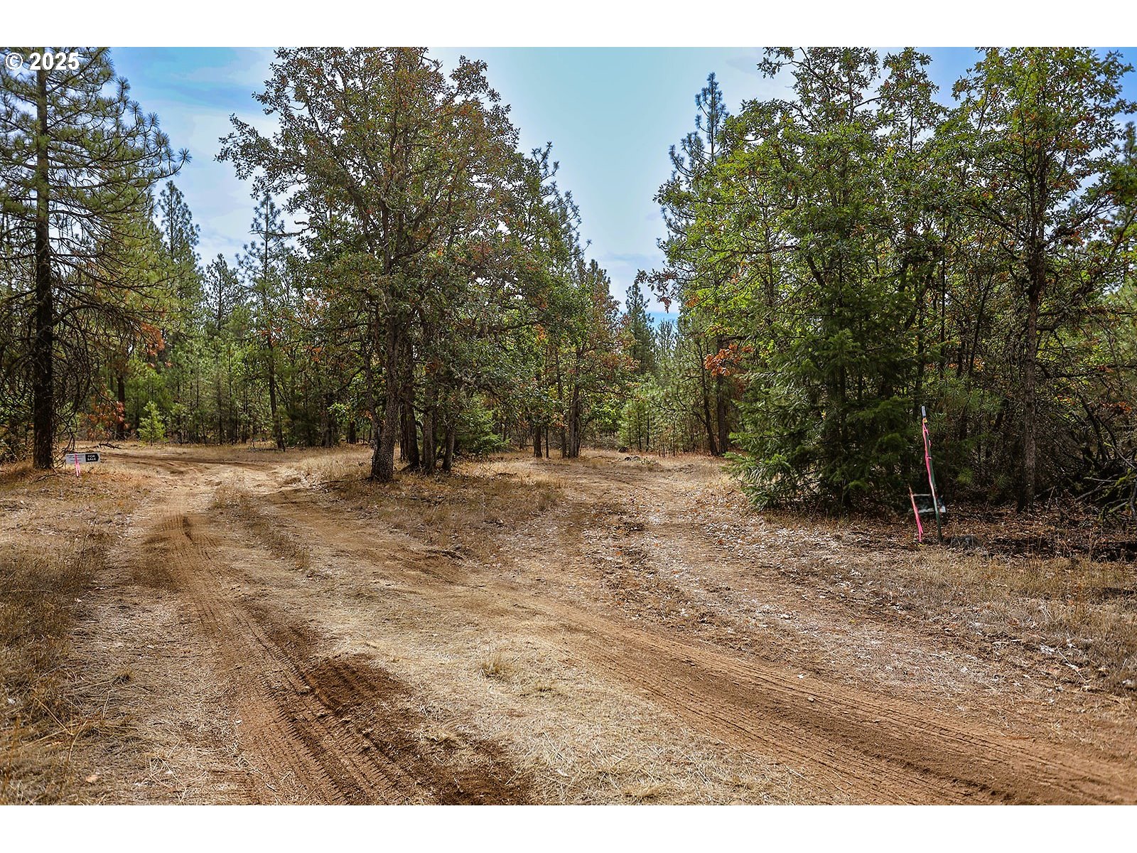 68 Matola Road Goldendale, WA 98620 - Photo 7 of 36 a view of outdoor space with trees all around