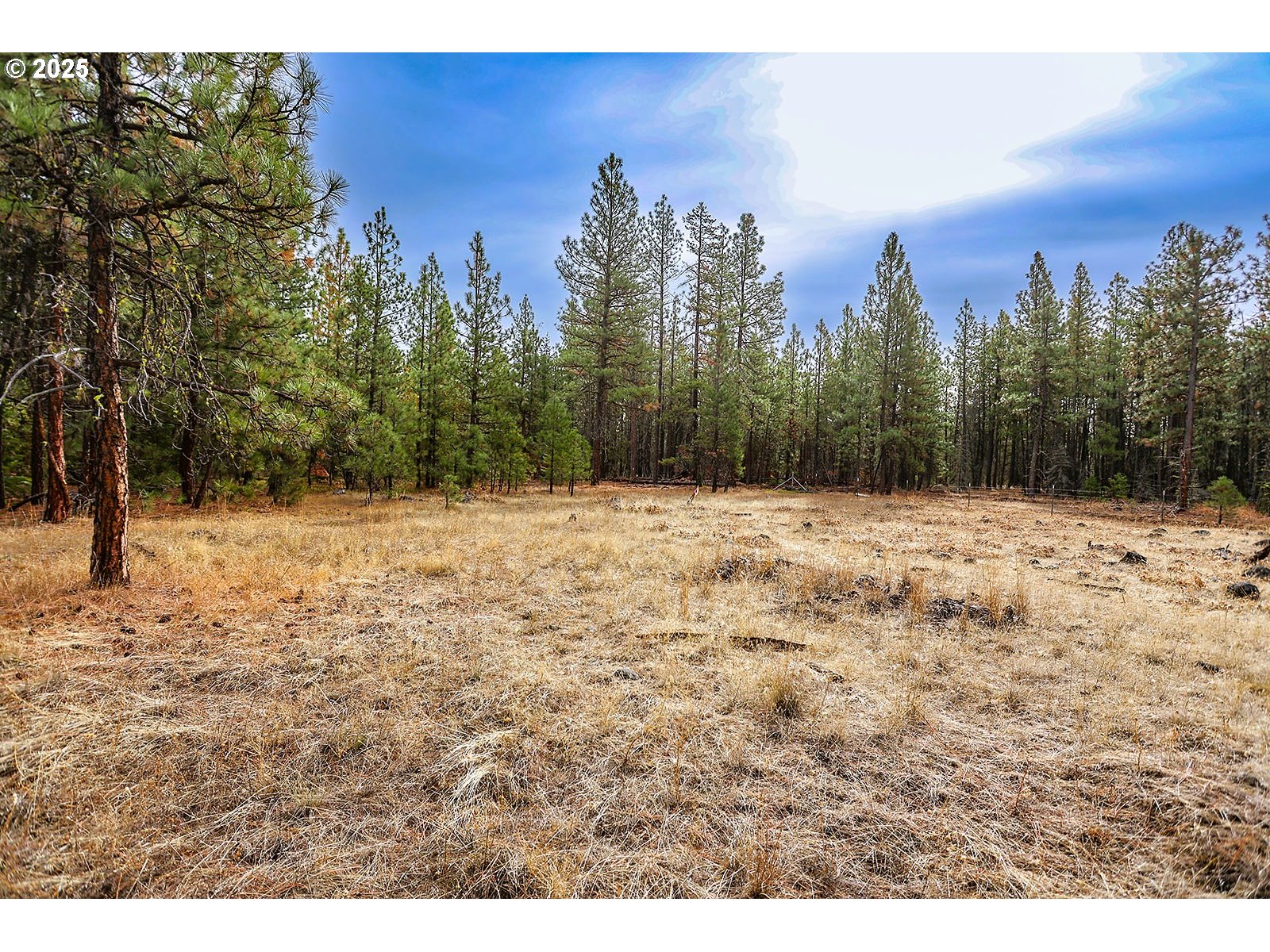 68 Matola Road Goldendale, WA 98620 - Photo 8 of 36 a view of a snow with a yard