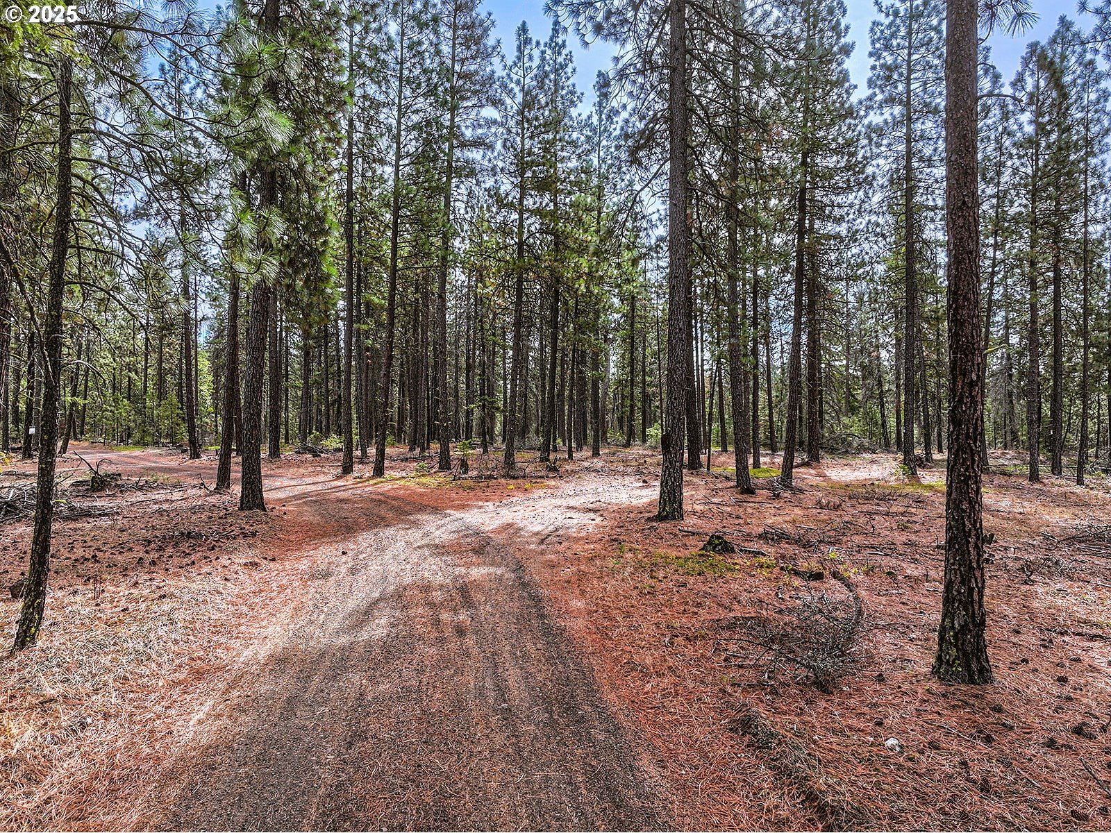 68 Matola Road Goldendale, WA 98620 - Photo 9 of 36 a view of outdoor space with trees