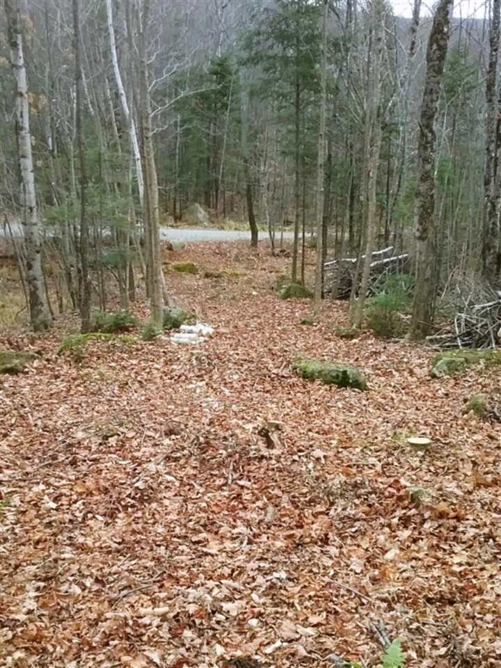 - Wheeler Mountain Road Barton, VT 05822 - Photo 8 of 9 Gallery Image 8