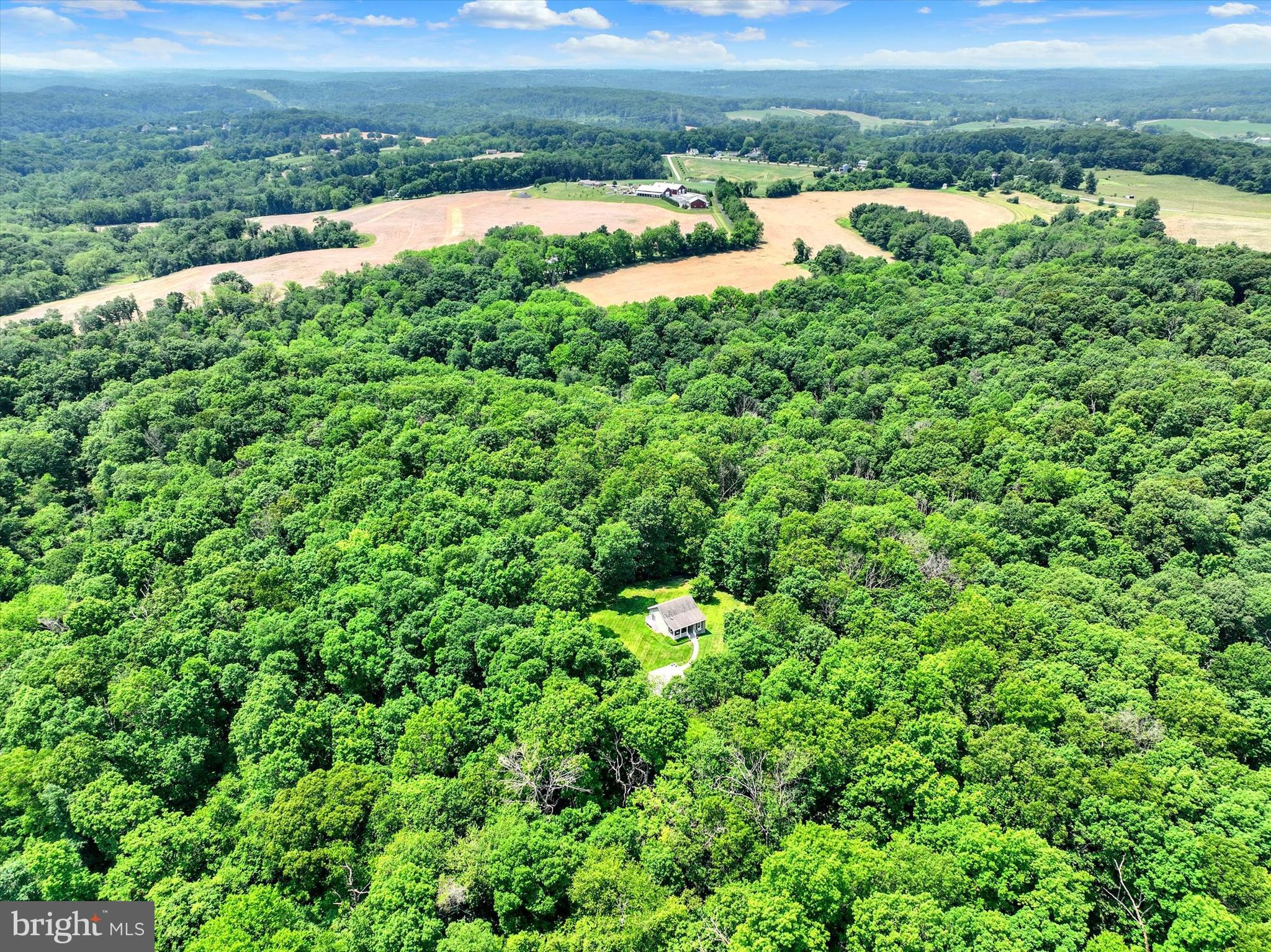 19420 Vernon Road White Hall, MD 21161 - Photo 46 of 52 This seclusion & natural setting is rare...