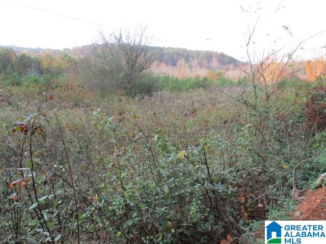 Smith Road, Unit 23 25 Oneonta, AL 35121 - Photo 4 of 5
