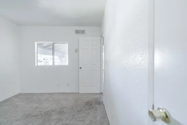 a view of a yard with plants and large trees