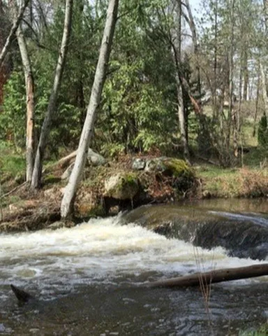 $599,000 | 42583 Shady Lane, Oakhurst, CA 93644