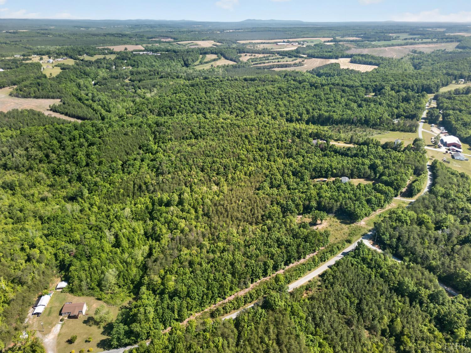 0 Mohawk Road Long Island, VA 24554 - Photo 14 of 23