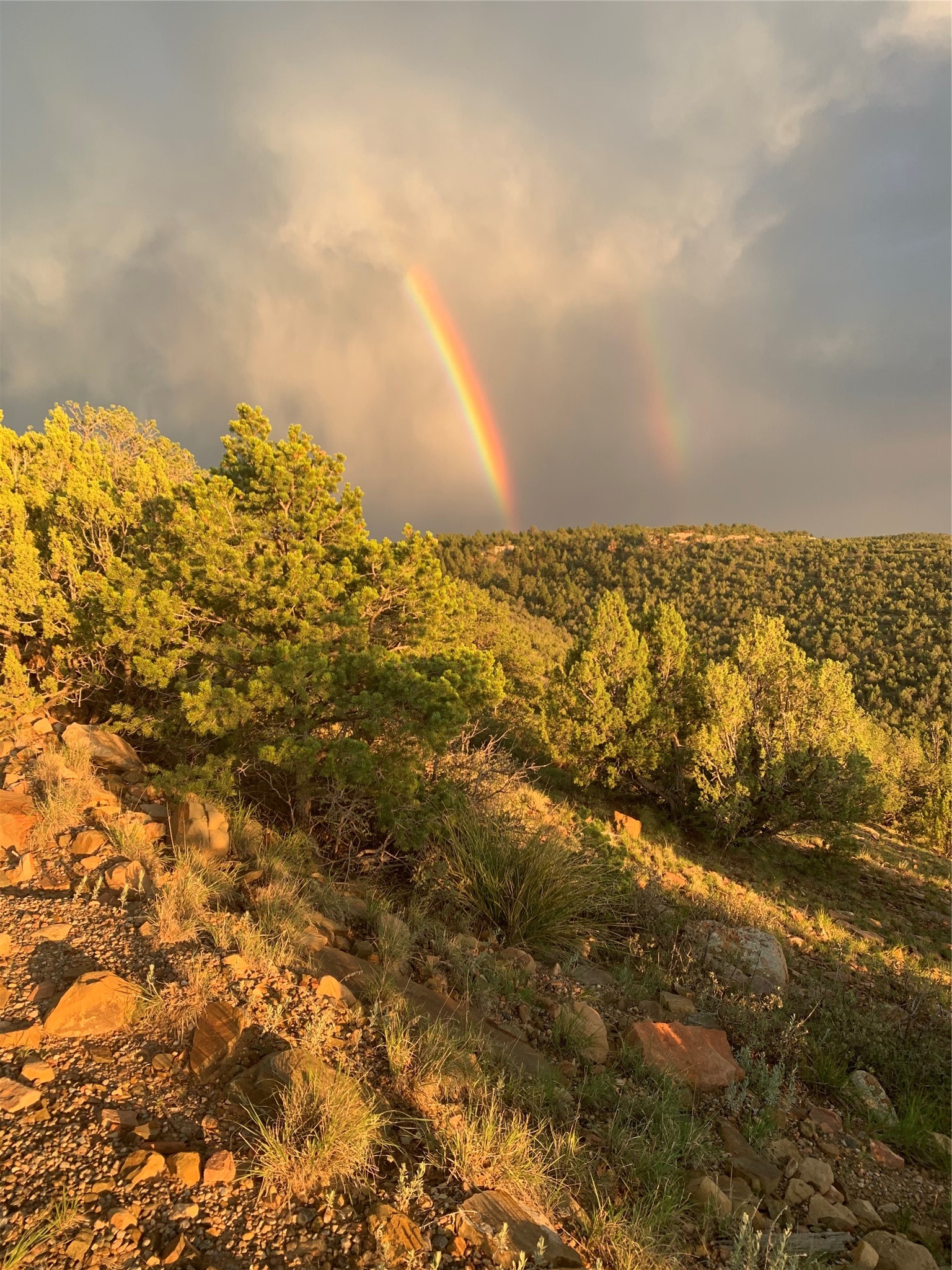 139 Apache Mesa Road Las Vegas, NM 87701 - Photo 23 of 23