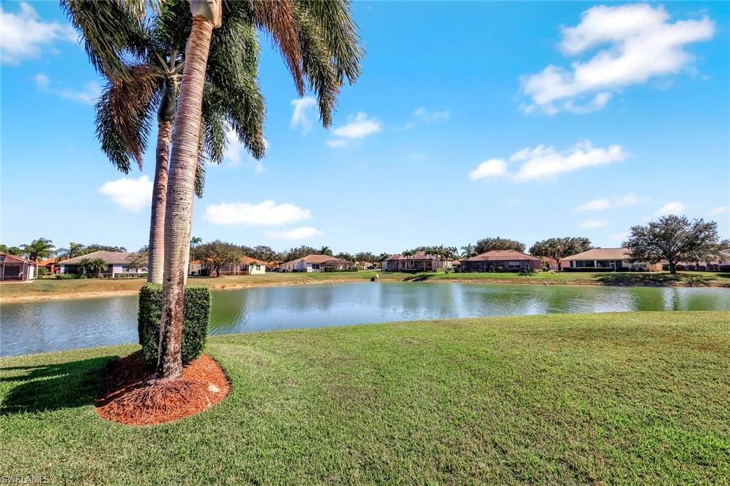 598 Grand Rapids Boulevard Naples, FL 34120 - Photo 34 of 49 view from beyond the screened lanai