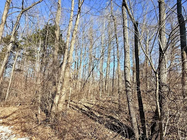 $30,000 | Tbd Tbd Riley, Bedford, IN 47421