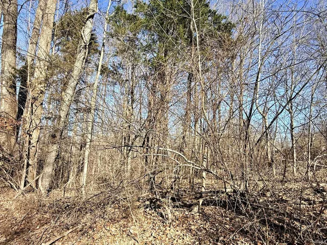 $30,000 | Tbd Tbd Riley, Bedford, IN 47421