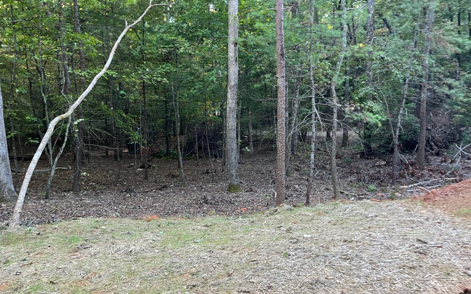 385 Grace Drive Blue Ridge, GA 30513 - Photo 3 of 12 Additional View