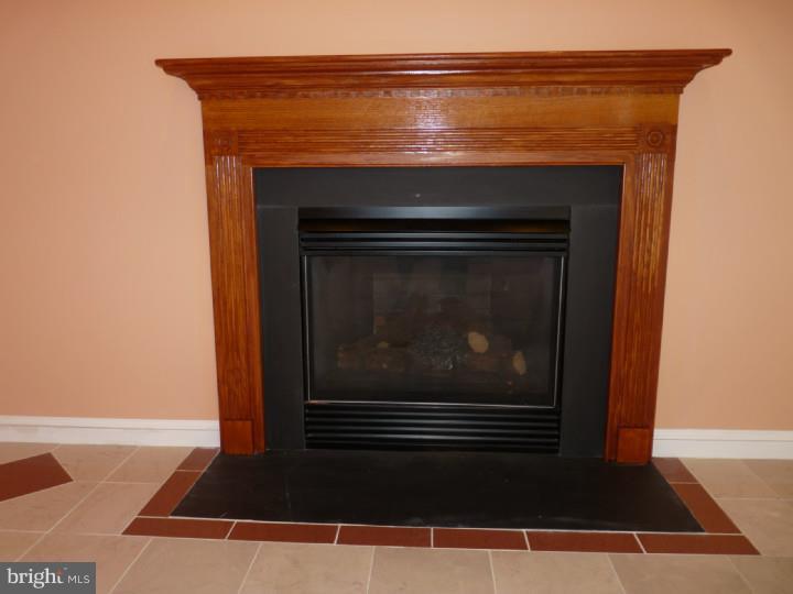 430 Winding Stream Road Spring City, PA 19475 - Photo 6 of 25 Fireplace