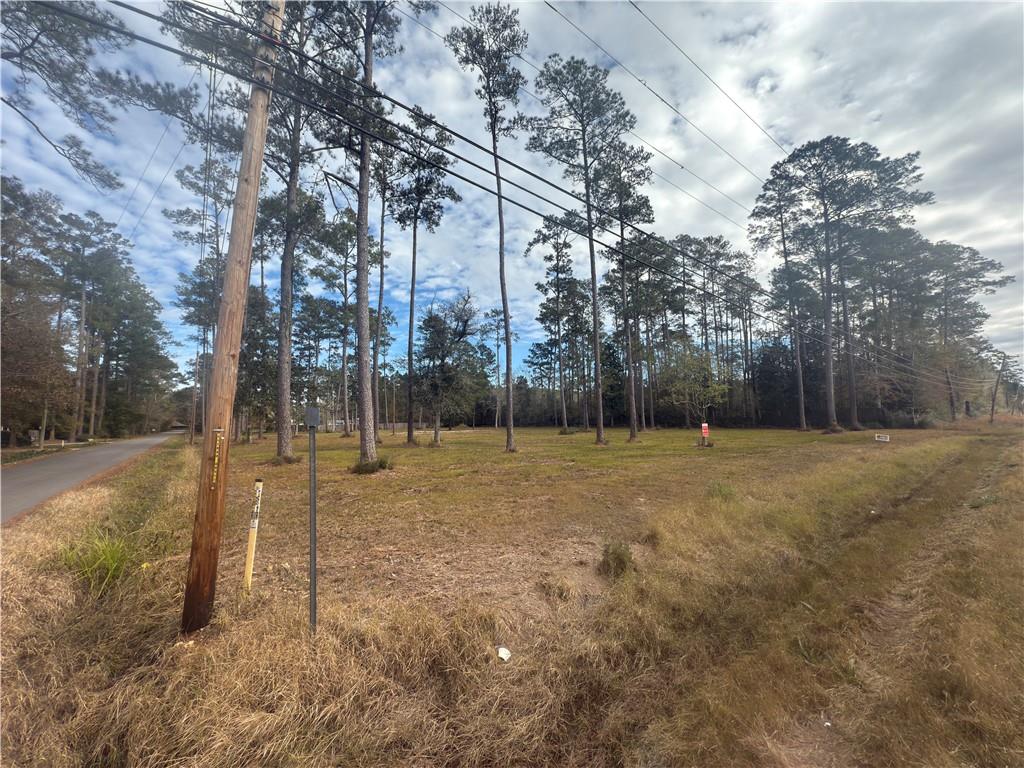 61016 Nehl Street Lacombe, LA 70445 - Photo 2 of 7