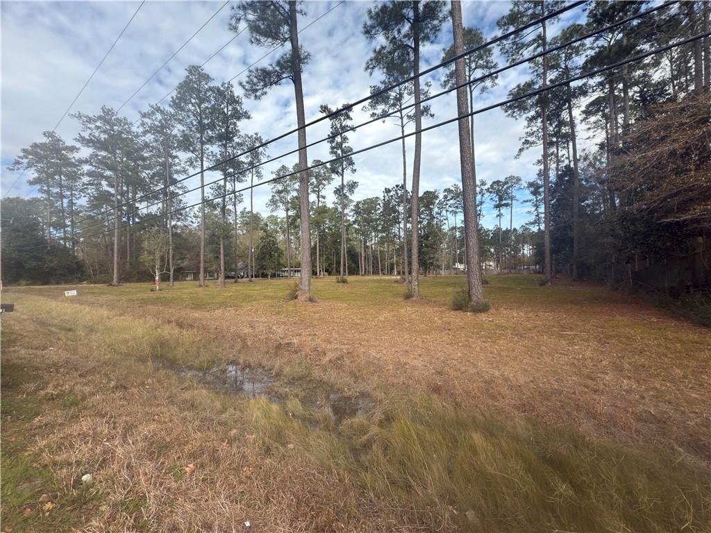 61016 Nehl Street Lacombe, LA 70445 - Photo 3 of 7