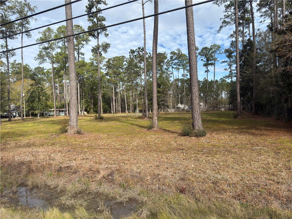 61016 Nehl Street Lacombe, LA 70445 - Photo 4 of 7