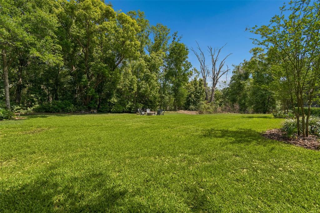 17001 Midas Lane Lutz, FL 33549 - Photo 90 of 100 a view of a field with trees in the background