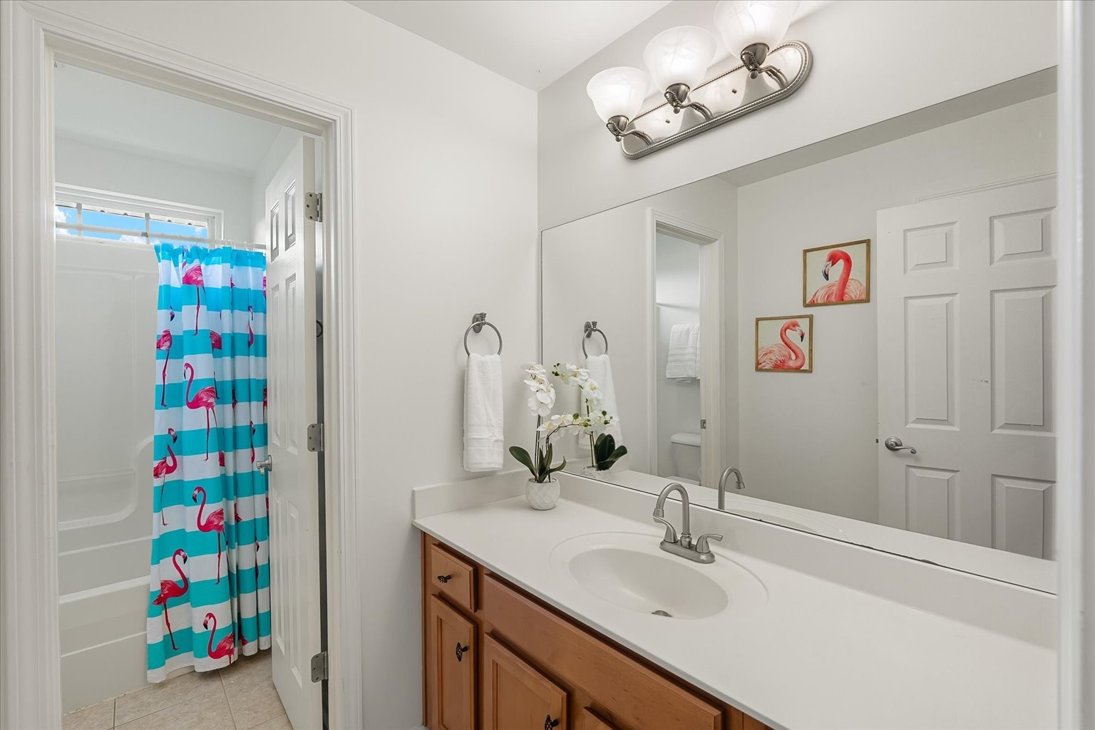 4055 Williford Way Spring Hill, TN 37174 - Photo 23 of 37 a bathroom with a sink a vanity and a mirror