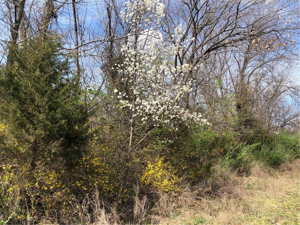 West Dam Warsaw, MO 65355 - Photo 16 of 17
