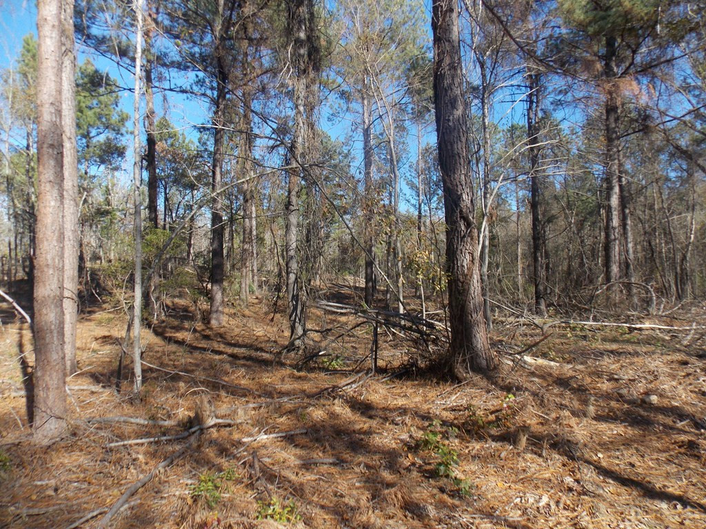 1 Maxim Road Lincolnton, GA 30817 - Photo 3 of 5 Gallery Image 3