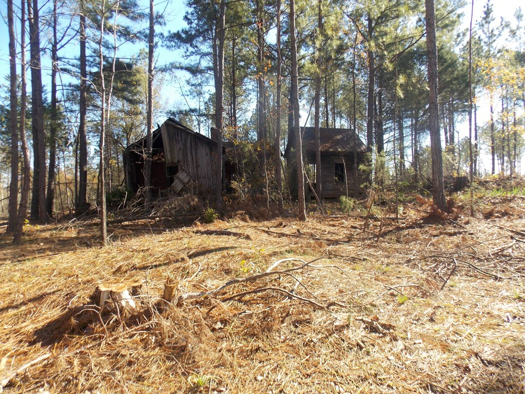 1 Maxim Road Lincolnton, GA 30817 - Photo 4 of 5 Gallery Image 4